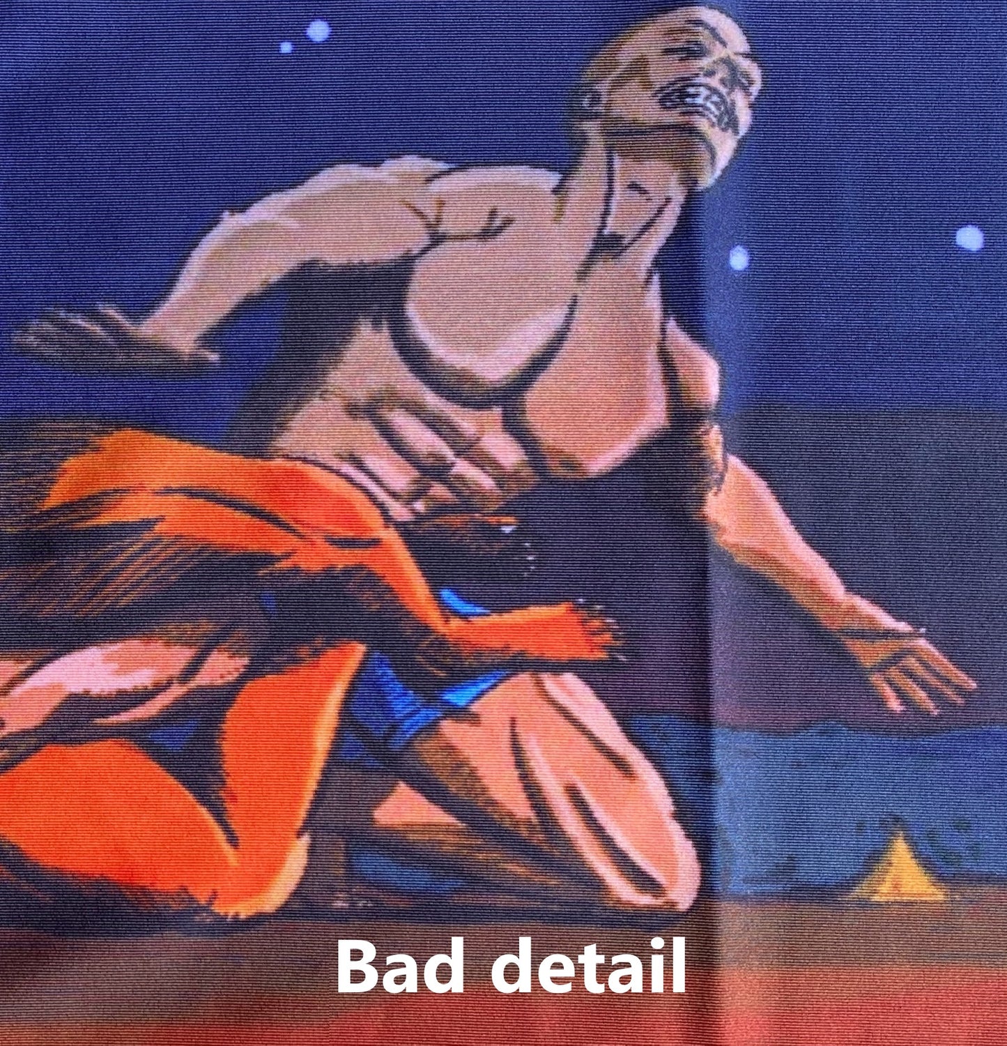 Dingo Rashguard - Short Sleeve Faulty print