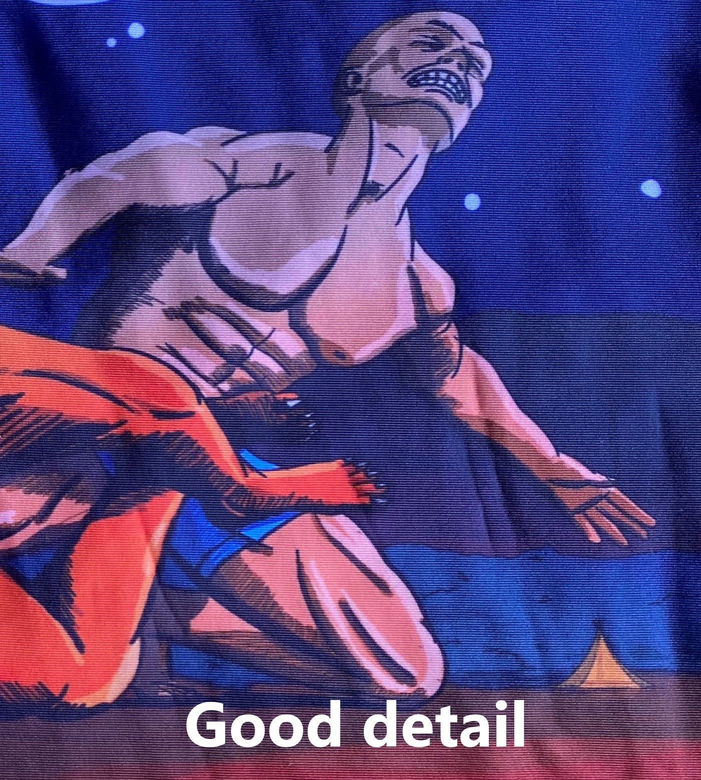 Dingo Rashguard - Short Sleeve Faulty print